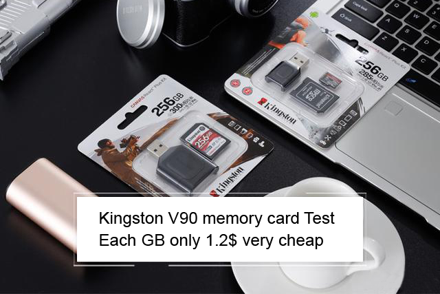 Canvas React Plus microSD 256GB